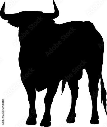 Isolated Bull Silhouette, Fighting Bull Silhouette in Vector