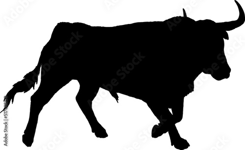 Isolated Bull Silhouette, Fighting Bull Silhouette in Vector