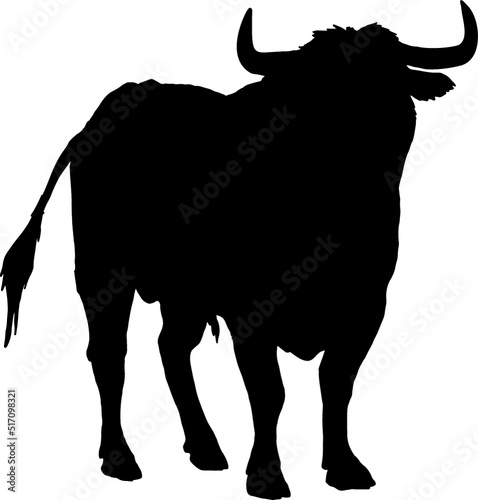 Isolated Bull Silhouette, Fighting Bull Silhouette in Vector