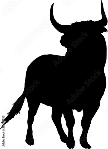 Isolated Bull Silhouette, Fighting Bull Silhouette in Vector