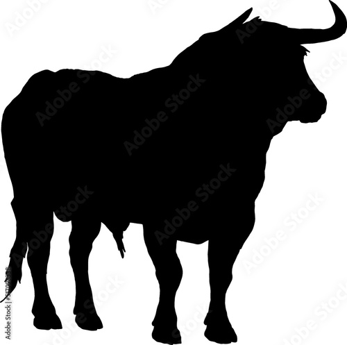 Isolated Bull Silhouette, Fighting Bull Silhouette in Vector