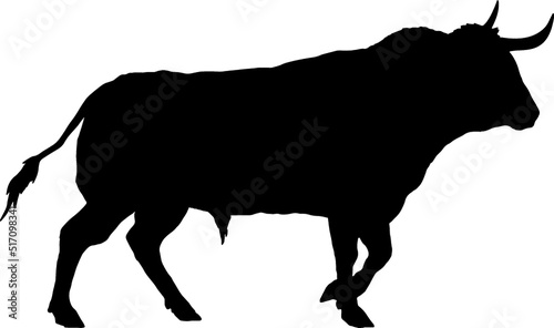 Isolated Bull Silhouette, Fighting Bull Silhouette in Vector