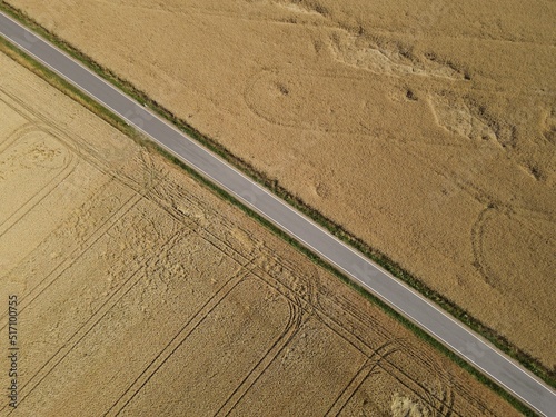 Aerial view of a country road between gold colored grain fields on a sunny day in july