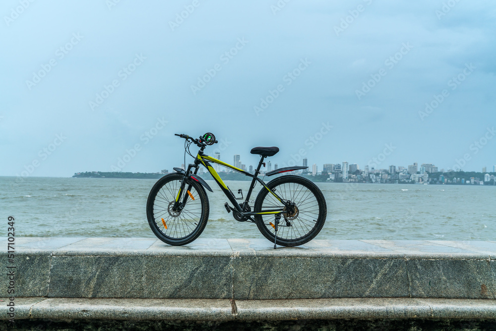 Fototapeta premium bicycle parked with cityscape