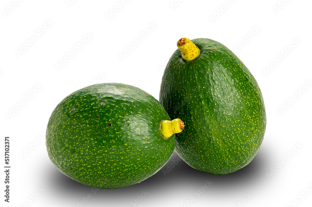 Green fresh avocado on white background with clipping path. Avocado has a buttery flesh when ripe. Green fresh avocado on white background with clipping path. Avocado has a buttery flesh when ripe.