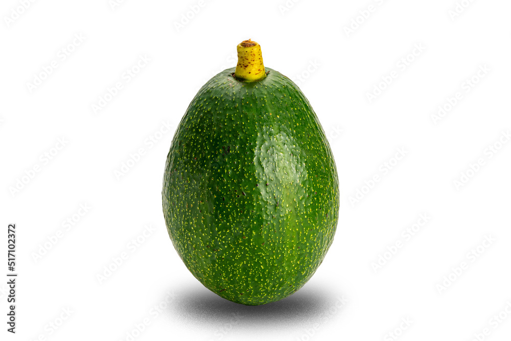 Single green fresh avocado with stalk isolated on white background with clipping path. Single green fresh avocado with stalk isolated on white background with clipping path.