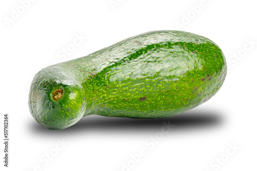 Single fresh avocado on white background with clipping path. Avocado oil has a multitude of uses for salads and in cosmetics and soap products.