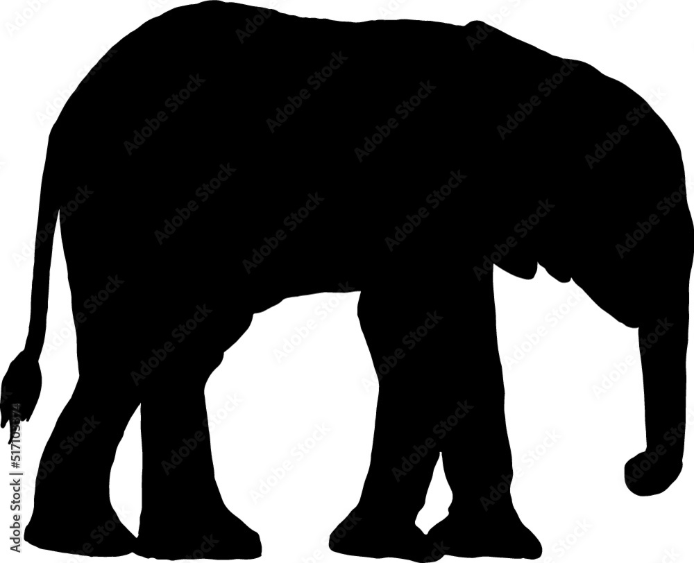 Fototapeta premium Isolated Elephant Silhouette in Vector