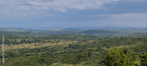 Naturreservat Hluhluwe Imfolozi Park S  dafrika