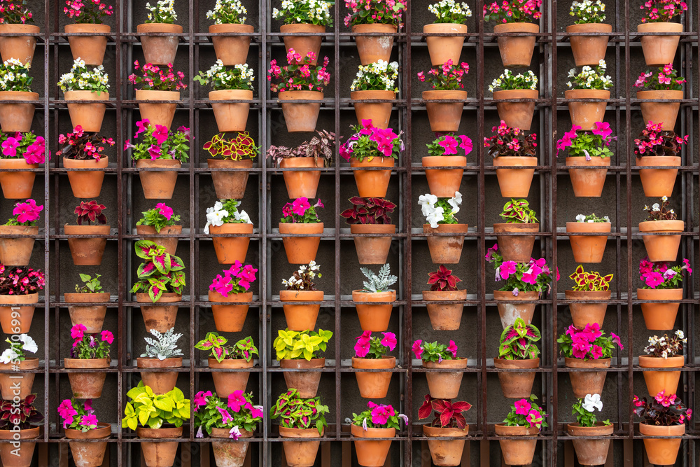 Rows of different plants  and flowers in pots in a street flowerbed