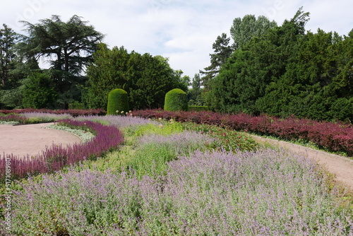 Blumenbeet im Nordpark in Düsseldorf