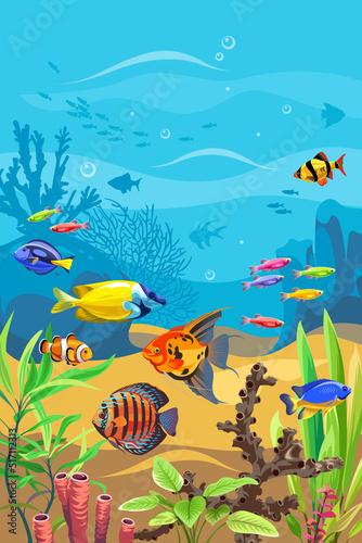 Vector ocean world. Exotic seascape with fish  seaweeds and corals. Aquatic ecosystem. Illustration of underwater life. Undersea bottom.