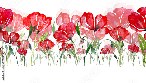 Red poppy flowers, buds, stems, green leaves. Hand-painted watercolor, elements for summer or romantic poster design, prints, cards, invitations.