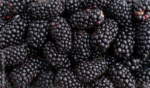 fresh blackberries close-up. Background of berries