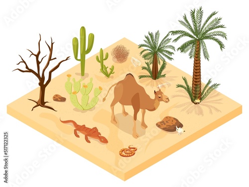 Desert Landscape Isometric Illustration