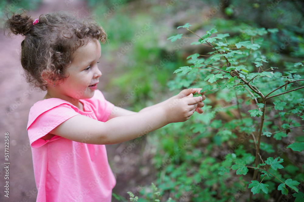 child holds a green leaf in her hands during walking in the forest. Protect nature concept. Kid child holds a green leaf in her hands during walking in the forest. Protect nature concept. Kid