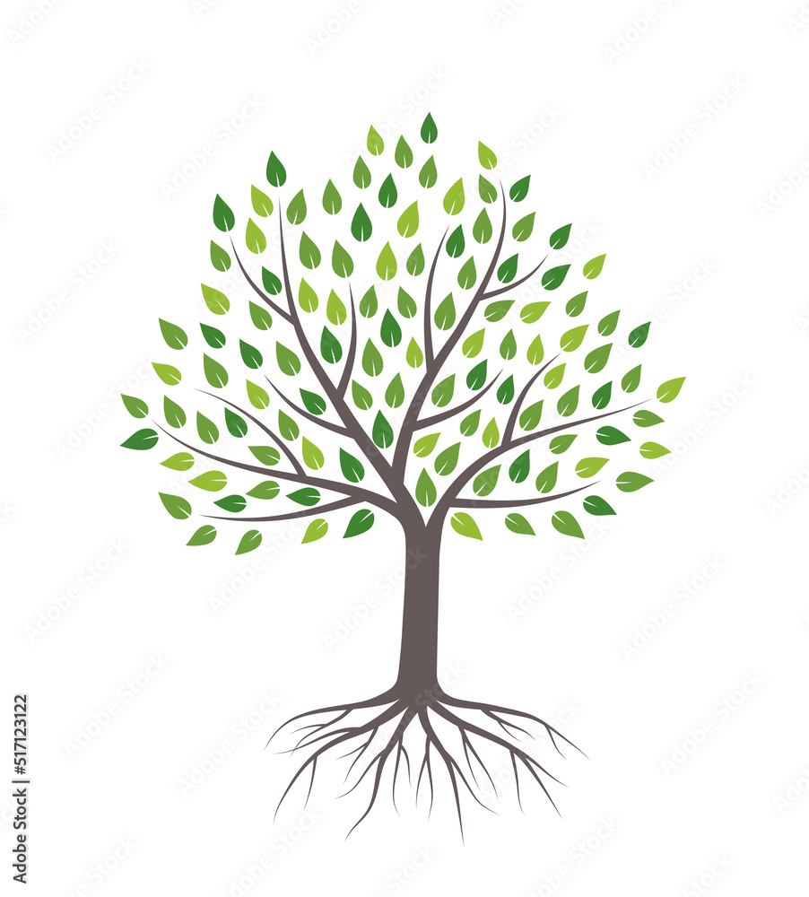 Tree with green leaves and roots. Isolated on white background. Flat style, vector illustration. Tree with green leaves and roots. Isolated on white background. Flat style, vector illustration.