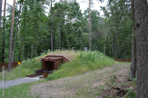 military dugout in the forest