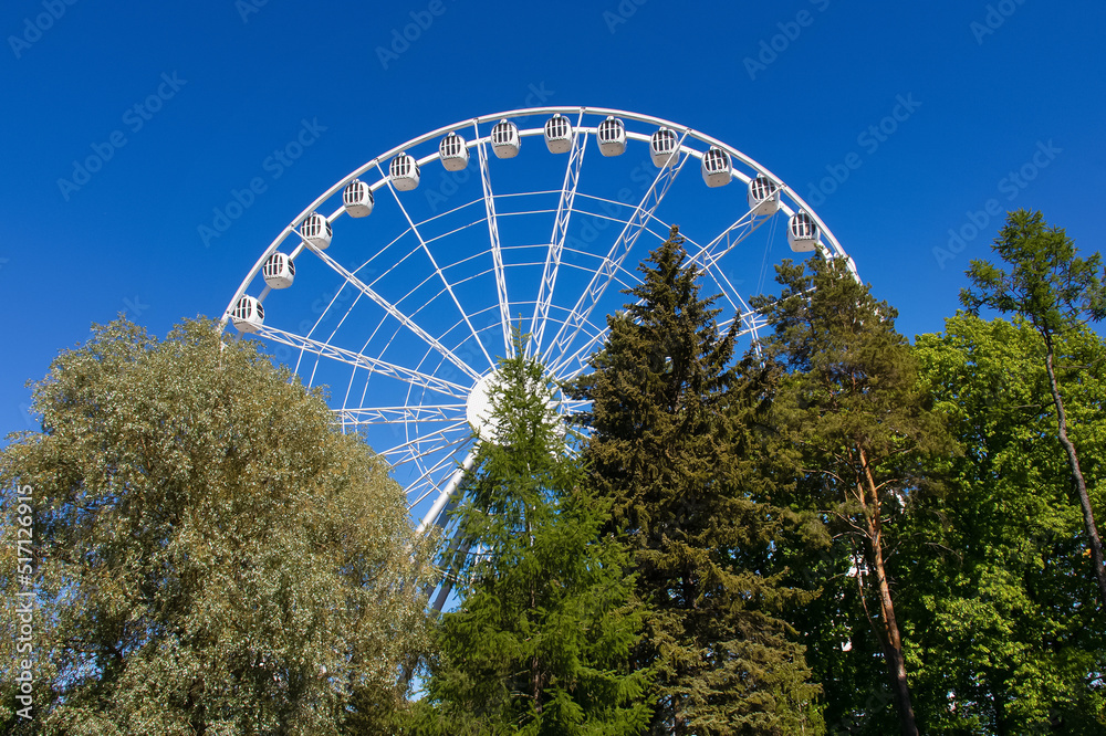 Fototapeta premium White ferris wheel behind green trees against blue sky