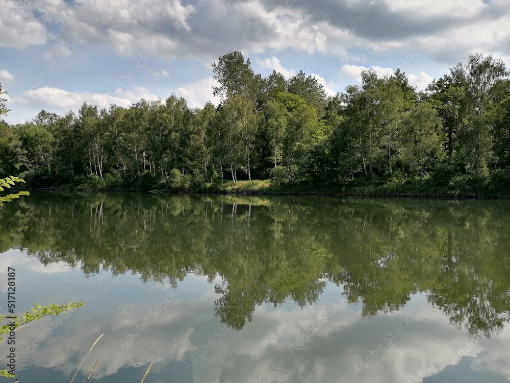 lake in the forest