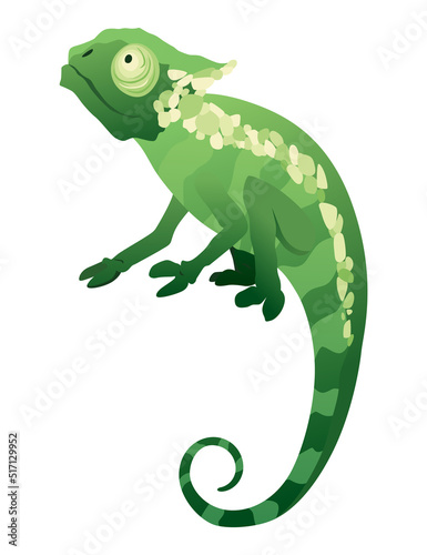 Fototapeta Naklejka Na Ścianę i Meble -  Chameleon lizard. Reptile with curved tail and camouflage skin, tropical wildlife. Exotic animal closeup