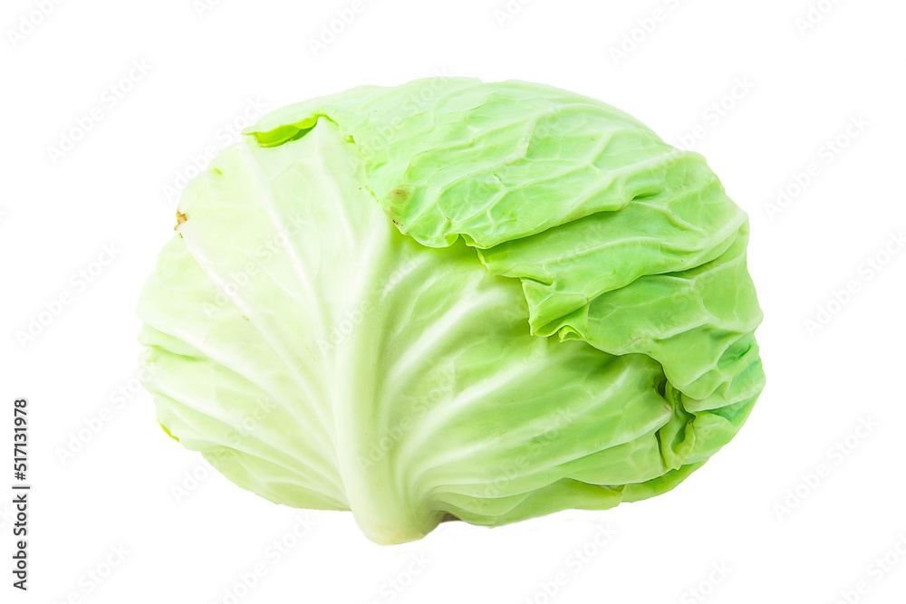 cabbage on isolated background . Clipping path cabbage on isolated background . Clipping path
