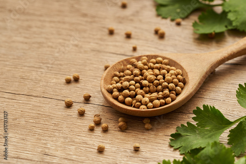 close up dry coriander seed spice in wooden spoon and leaf or leaves on wood table background with copy space