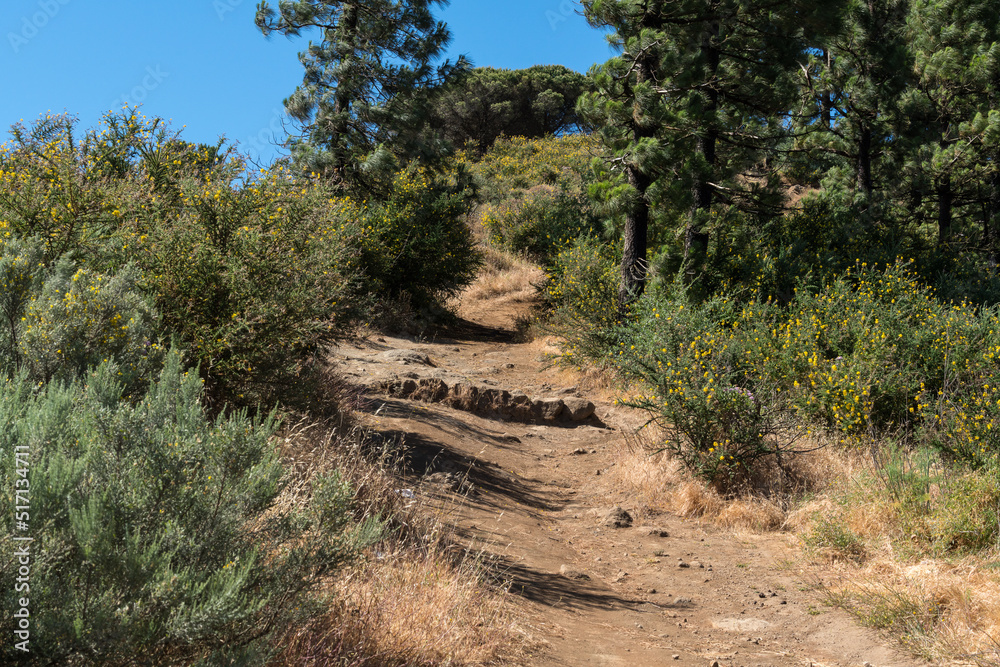 Landscape pictures of Gran Canaria Landscape pictures of Gran Canaria