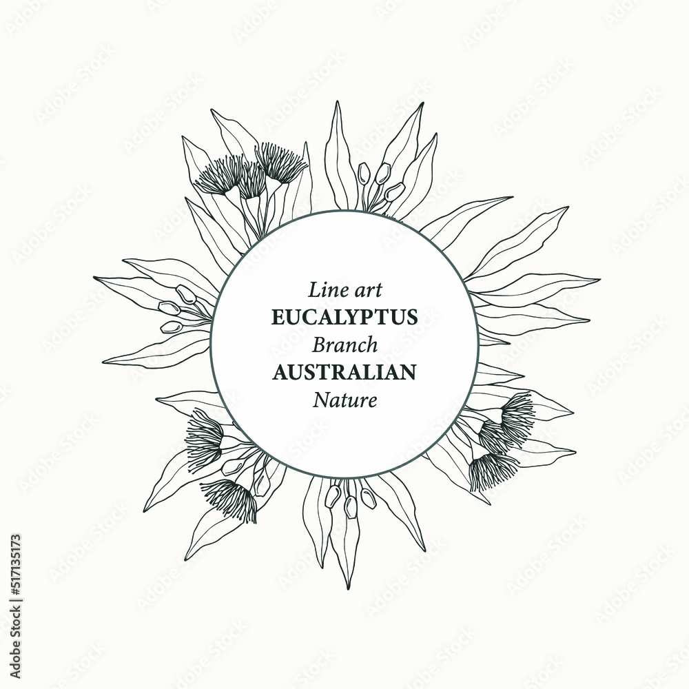 Fototapeta premium Hand drawn Australian native eucalyptus frame