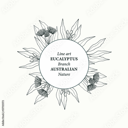 Hand drawn Australian native eucalyptus frame