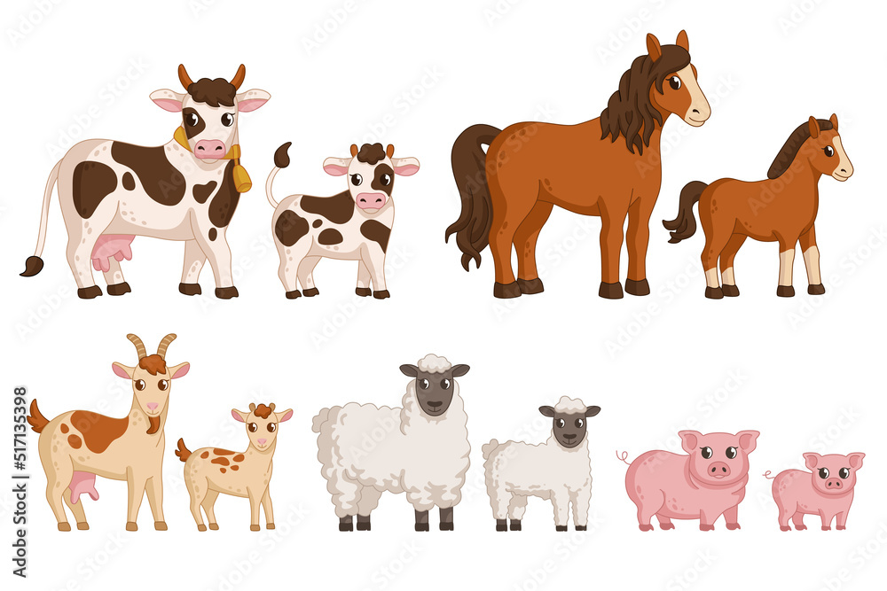Fototapeta premium Animals that are raised on the farm