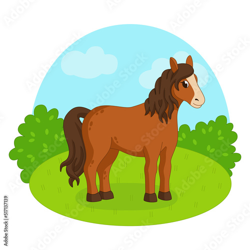 Horse on the background of grass and sky