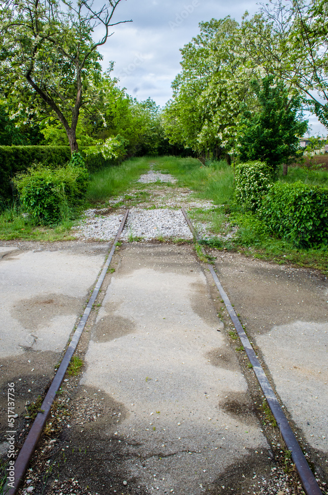I binari di una linea ferroviaria abbandonata attraversano una strada e spariscono nell'erba lungo la Via Postumia, cammino che parte da Aquileia e arriva a Genova