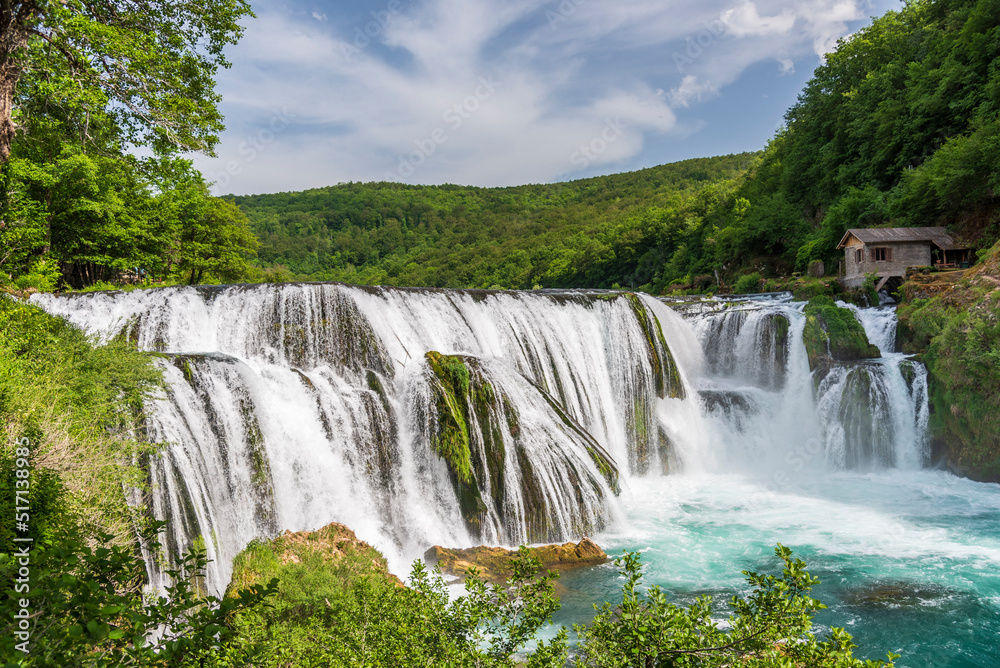 Fototapeta premium waterfall in the forest