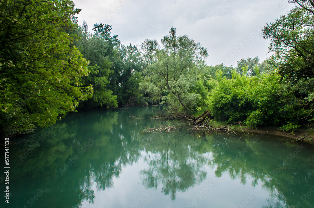 Alcuni alberi si riflettono in un'ansa del fiume Sile lungo la Via Postumia, cammino che parte da Aquileia e arriva a Genova Alcuni alberi si riflettono in un'ansa del fiume Sile lungo la Via Postumia, cammino che parte da Aquileia e arriva a Genova