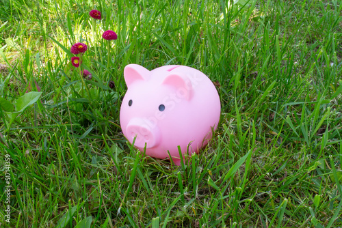 The pink piggy bank hid in the green grass in the garden.