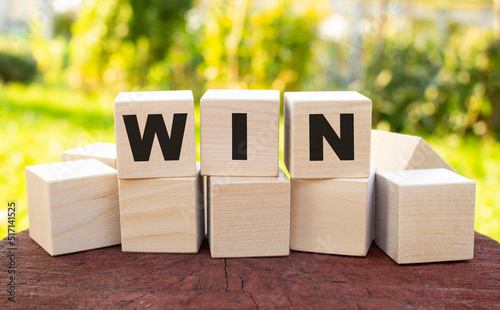 The word WIN is made up of wooden cubes lying on an old tree stump against a blurred garden background.
