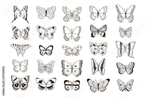 Butterfly collection vector line illustrations set