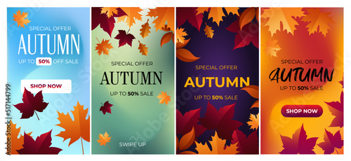 Autumn sale background layout decorate with leaves for shopping sale or promo poster and frame leaflet or web banner stories social media vector illustration template