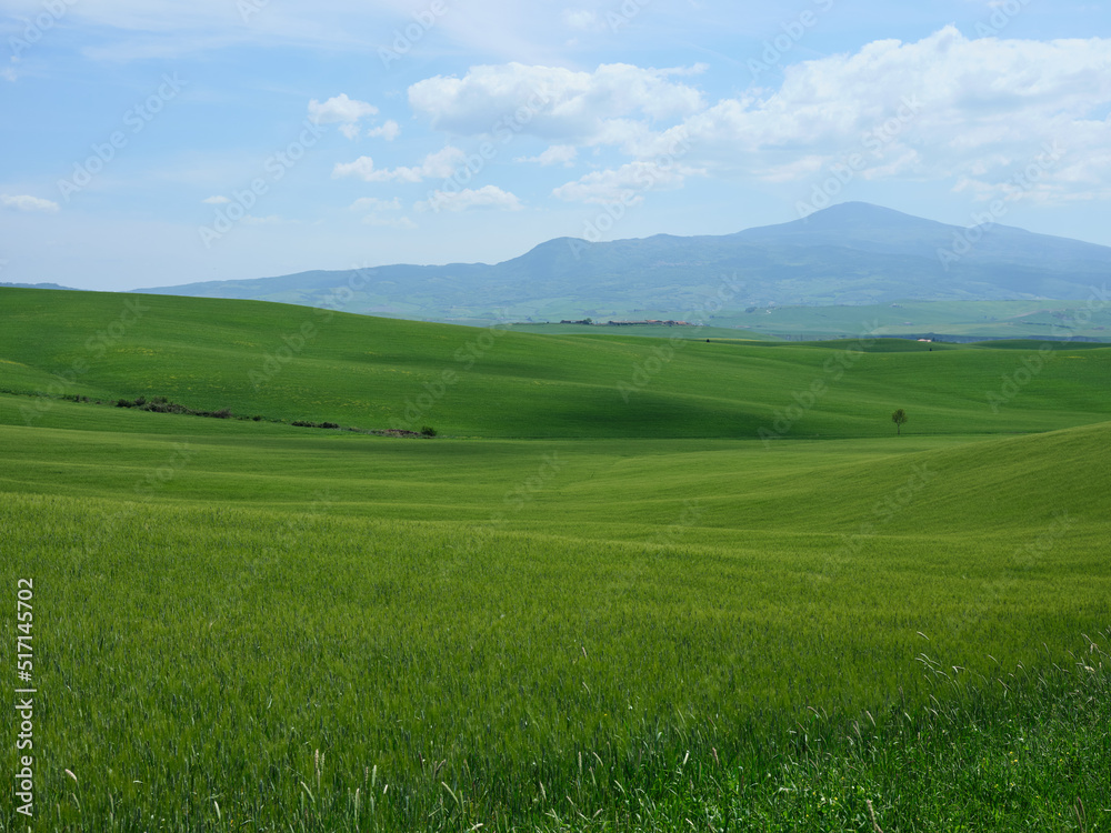 Views of beautiful Tuscany in Italy.