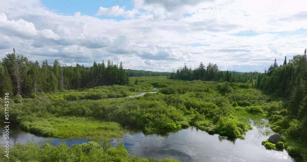 Forest And Mountains View From Drone 3 Forest And Mountains View From Drone 3
