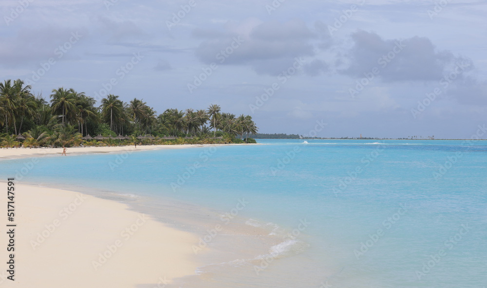 Maldives resort island with palm trees