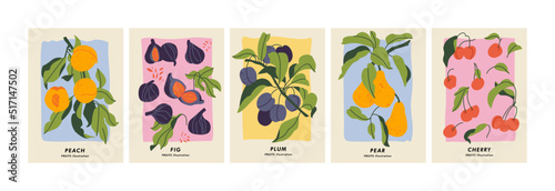 Vector illustration set of botanical posters with different fruits. Art for for postcards, wall art, banner, background.