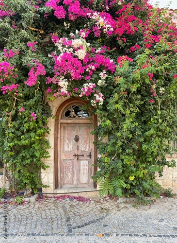 Flower house in the Alacati, izmir photo