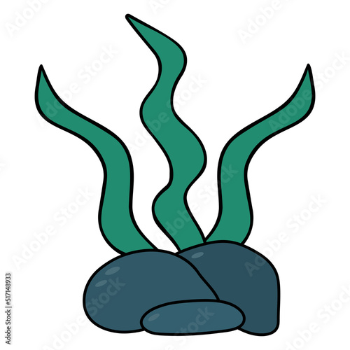 Green algae behind the stone. Underwater vegetation grows on the ocean floor. Kelp. Color vector illustration. Isolated background. Cartoon style. Idea for web design.