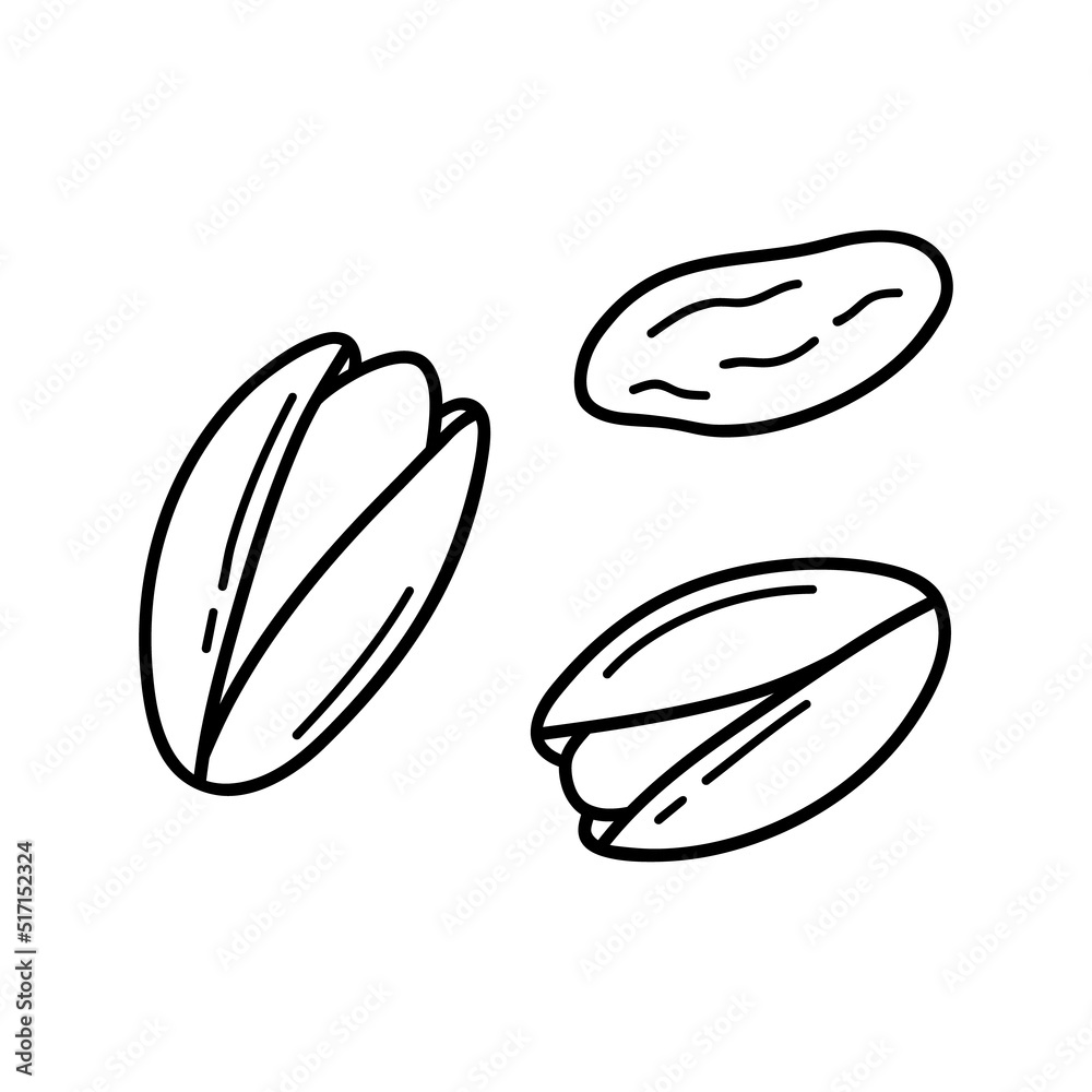 Hand drawn pistachio doodle. Nuts in sketch style. Vector illustration isolated on white background. Hand drawn pistachio doodle. Nuts in sketch style. Vector illustration isolated on white background.