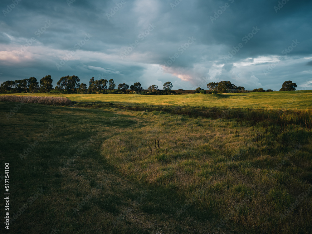 Fototapeta landscape with grass field and sky