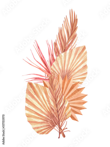 Dried tropical palm leaves set bouquets. Pastel watercolor floral template isolated collection for wedding wreath, bouquet frames, decoration design elements.