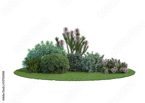 Gardens with shrubs Decorative flowers on a white background