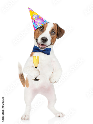 Funny Jack russell terrier puppy wearing tie bow and party cap holds glass of champagne. isolated on white background © Ermolaev Alexandr